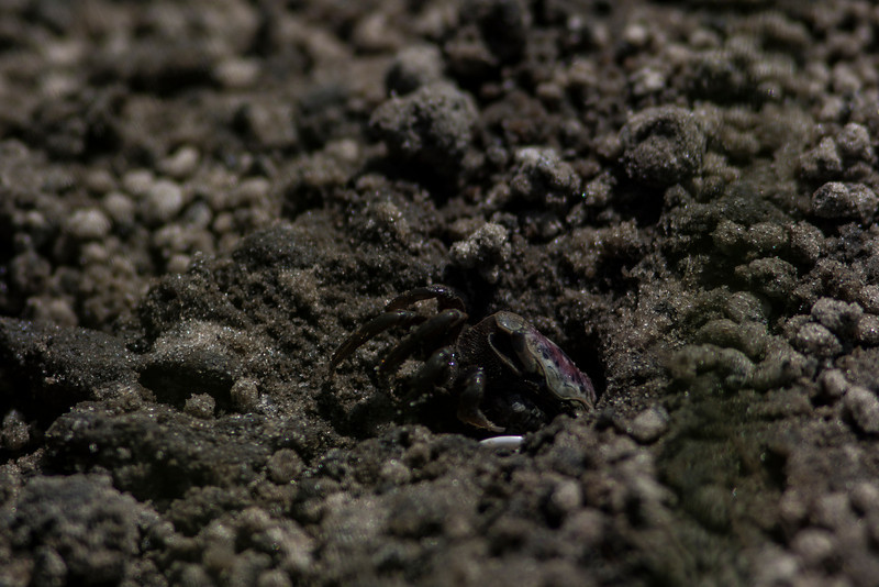 IMAGE: http://thegroovyninja.smugmug.com/People-Places-and-Things/North-Myrtle-2013/i-dthnmvM/0/L/Myrtle1-56-L.jpg